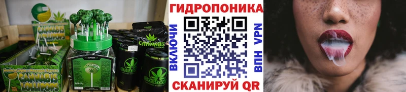 где можно купить наркотик  блэк спрут как зайти  Canna-Cookies марихуана  Ялуторовск 