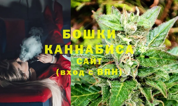 МДПВ Горняк