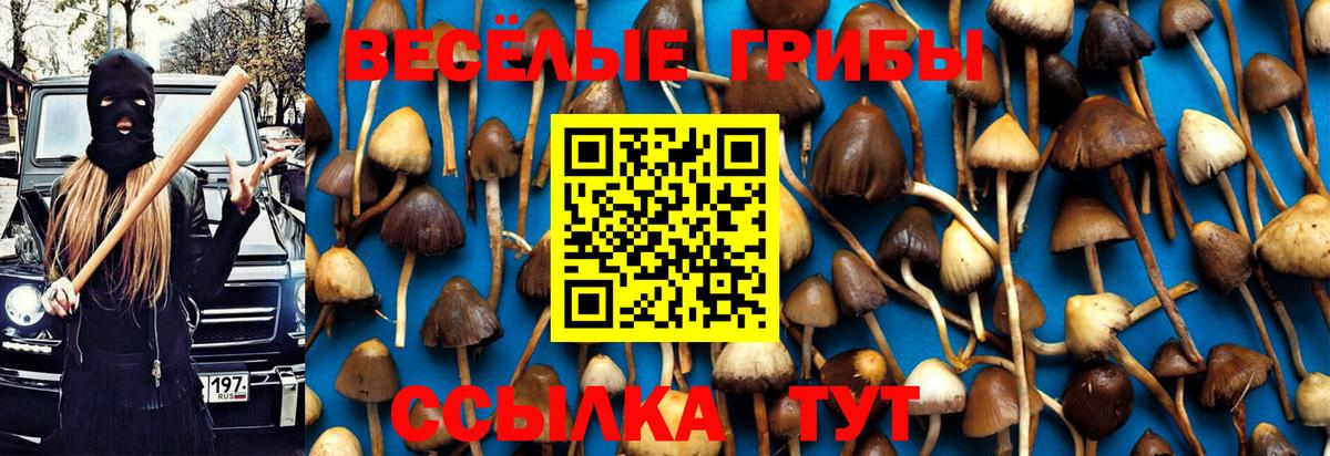 Галлюциногенные грибы Cubensis  Псилоцибиновые грибы ЛСД  Вход с VPN  Ялуторовск 